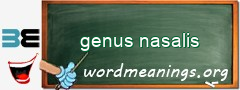 WordMeaning blackboard for genus nasalis
